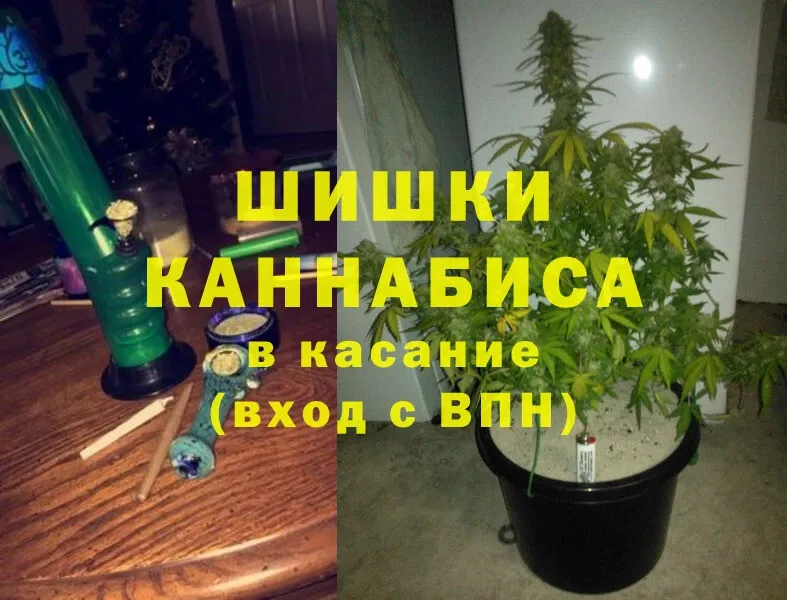 Шишки марихуана OG Kush  закладки  Чехов 